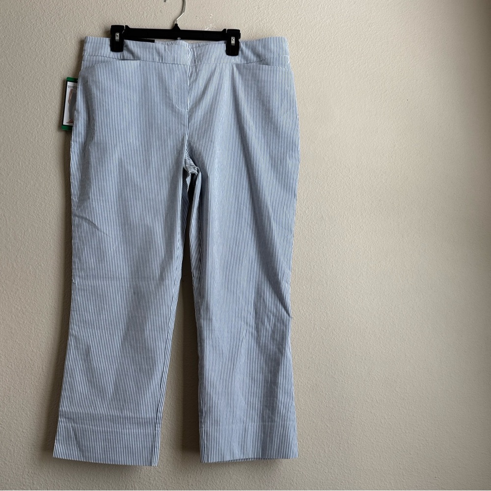 HILARY RADLEY CROPPED PANTS CONTROL TUMMY PANEL